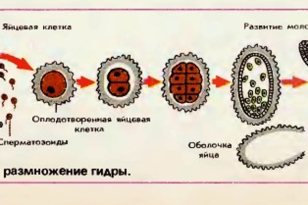 Кракен сайт ссылки актуальные